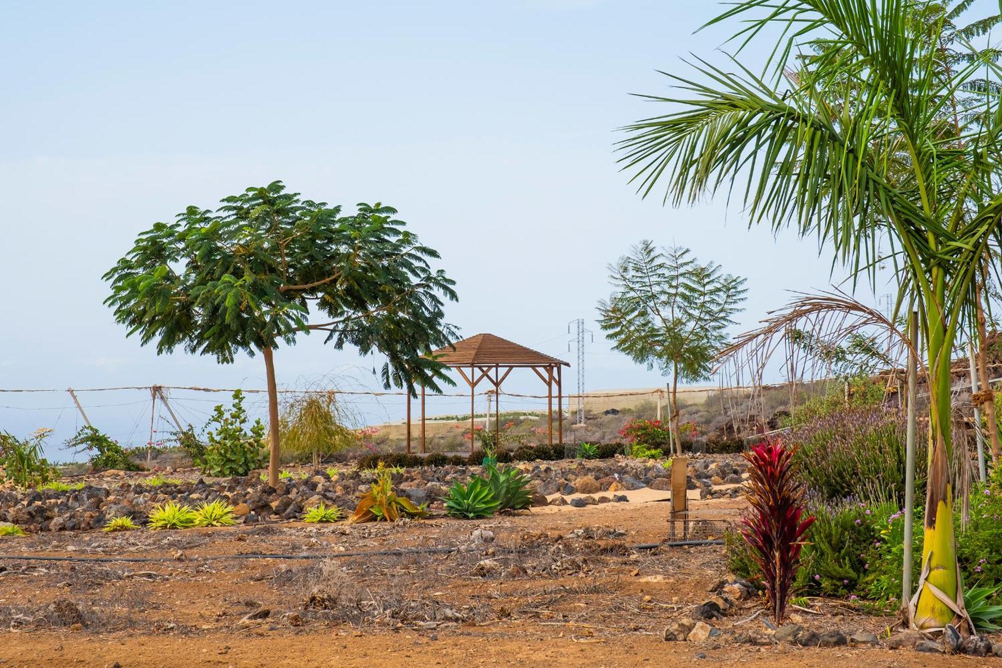 Tenerife Healing Garden Guia de Isora  Exterior photo