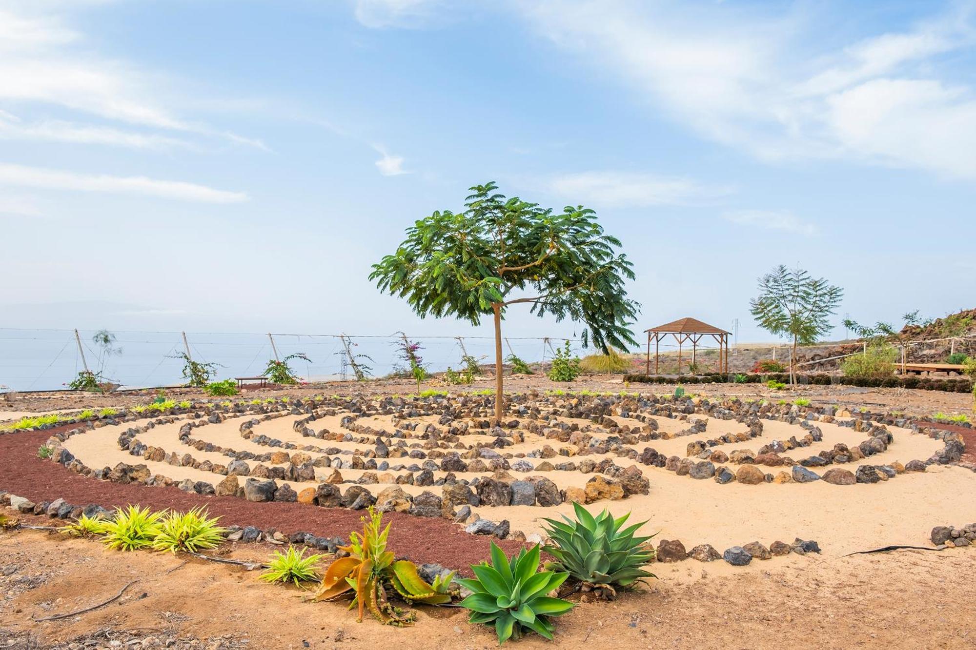 Tenerife Healing Garden Guia de Isora  Exterior photo