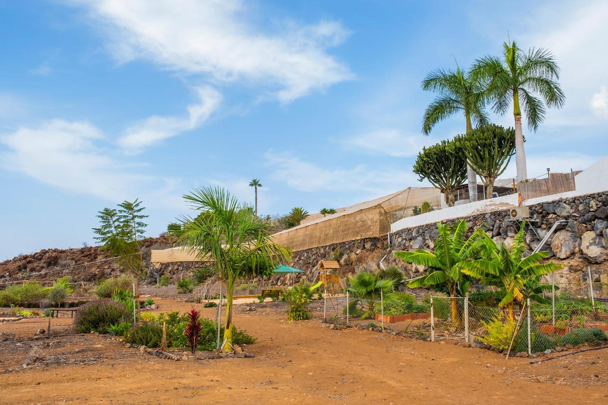 Tenerife Healing Garden Guia de Isora  Exterior photo